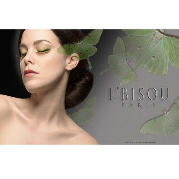 Black Wings Studio / Gallery - Picture 7 of 8